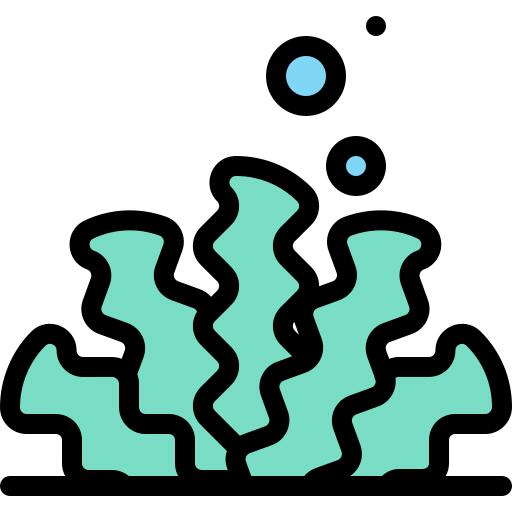 海草