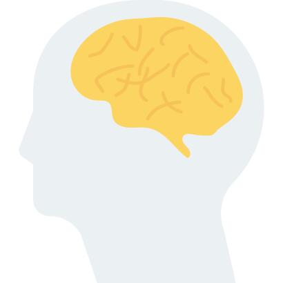 Brain