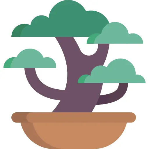 Bonsai