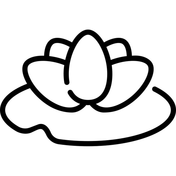 Water lily