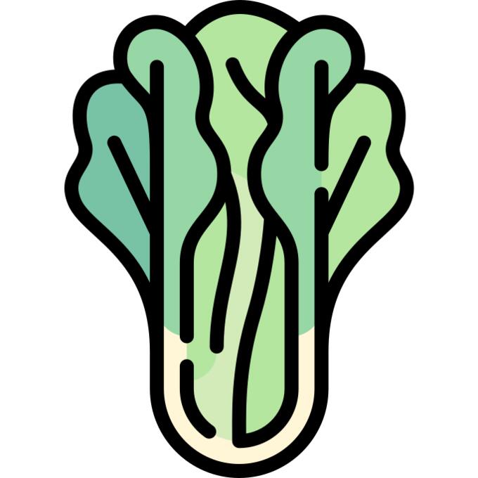 Lettuce