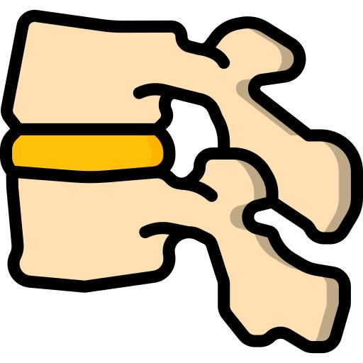 Vertebra