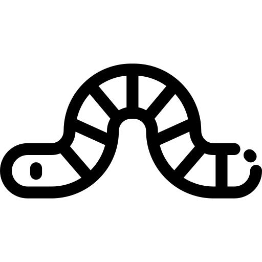 虫