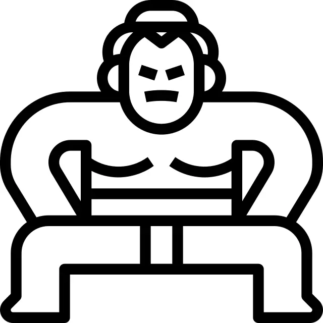 Sumo