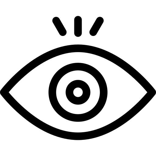 眼睛