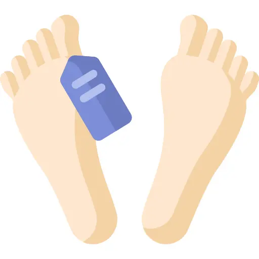 尸体