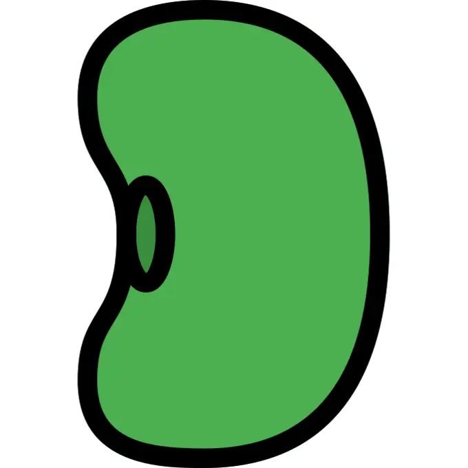 Bean