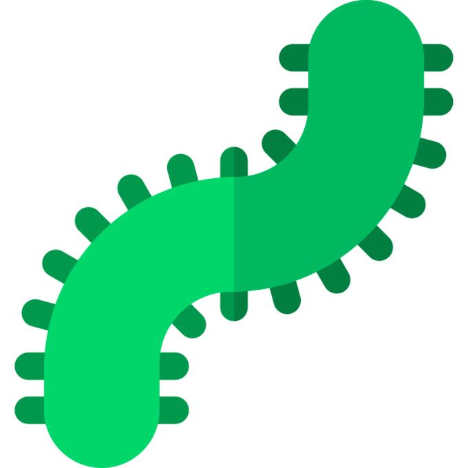 Centipede