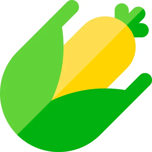 Maize