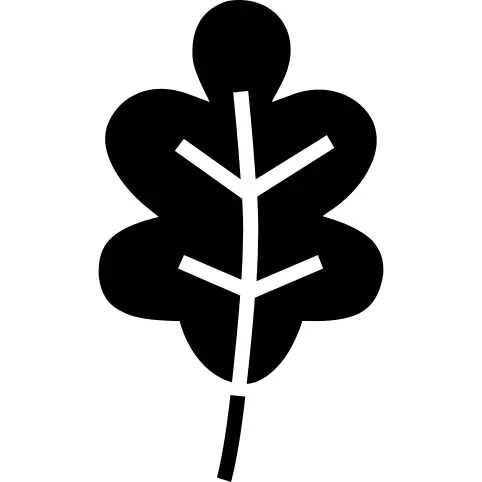 橡树叶