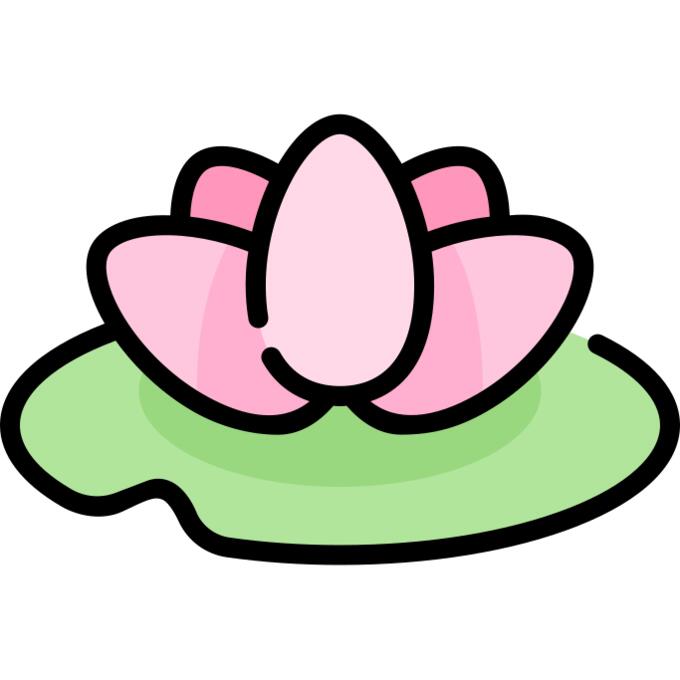 Water lily