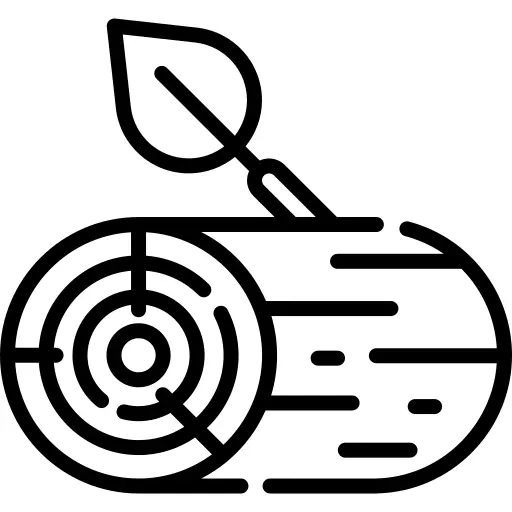 Log