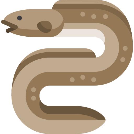 Eel