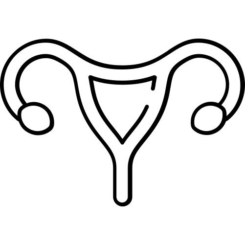 子宫