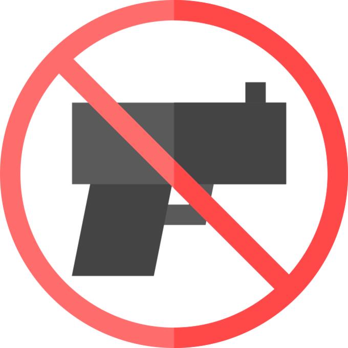 Gun