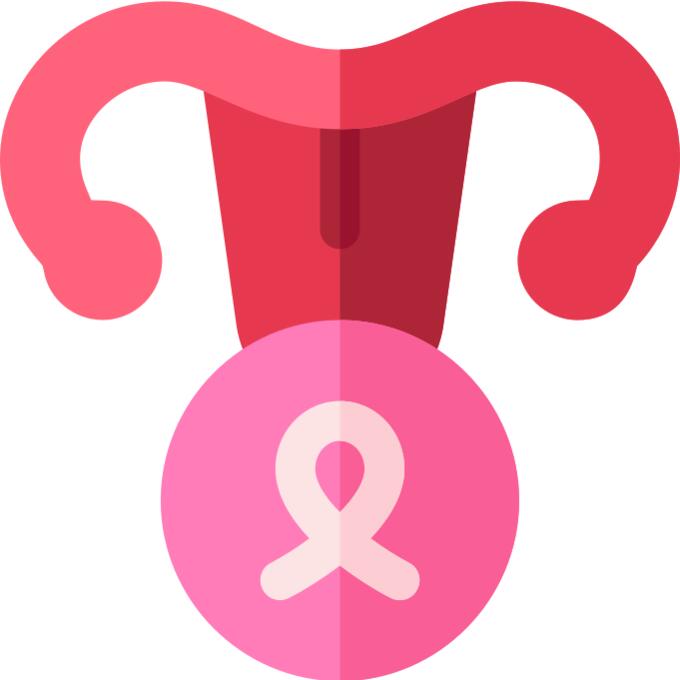 Uterus