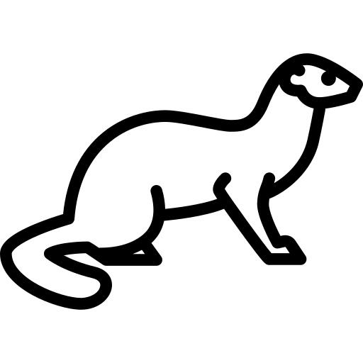 黄鼠狼