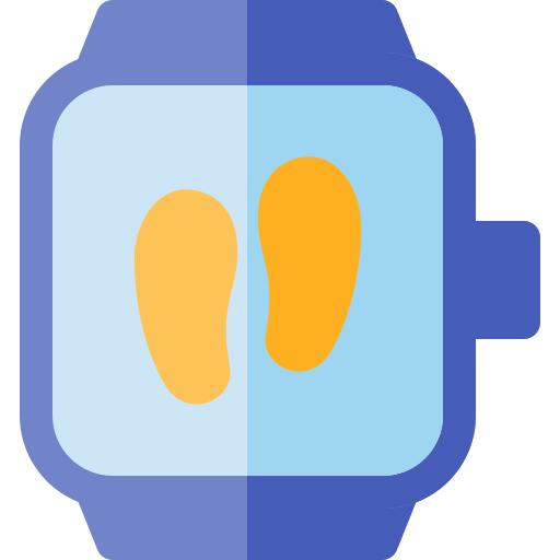 Pedometer