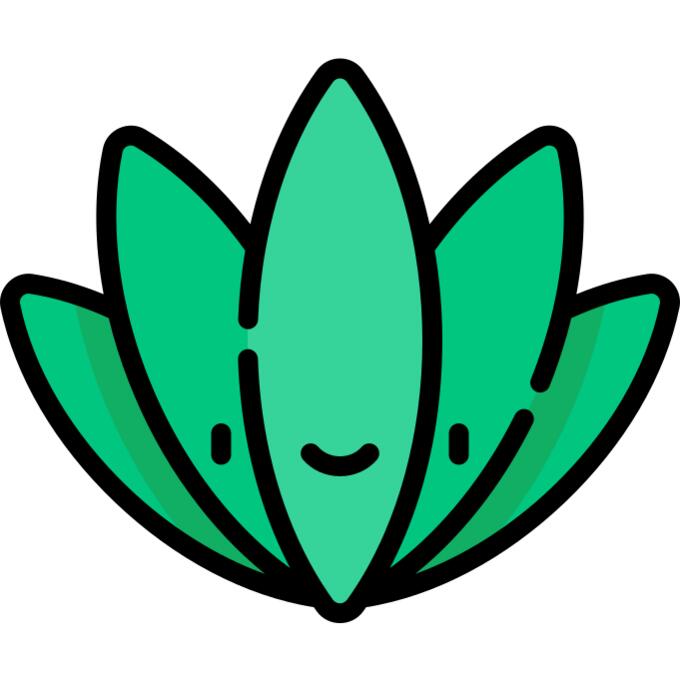 芦荟