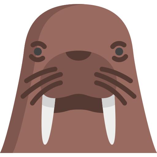 Walrus