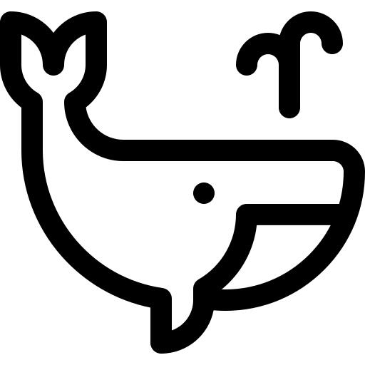 鲸