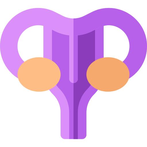 Uterus