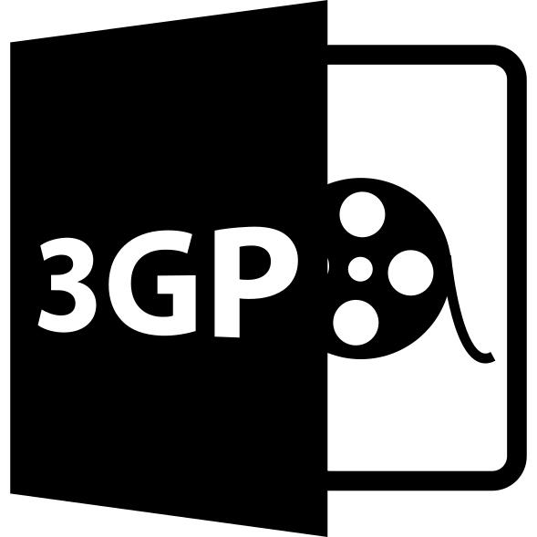 3gp文件格式符号