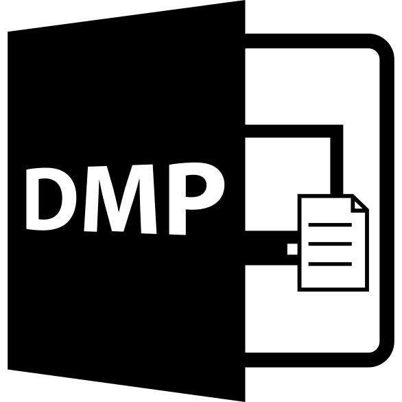 DMP文件格式变体