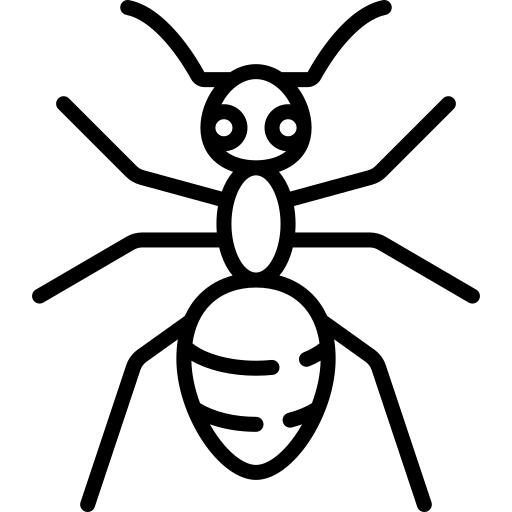 Ant