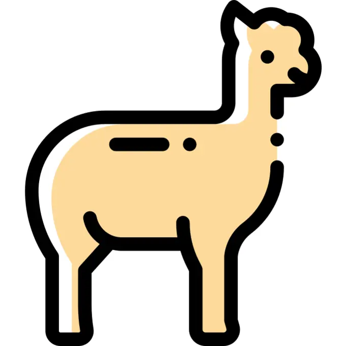 Alpaca