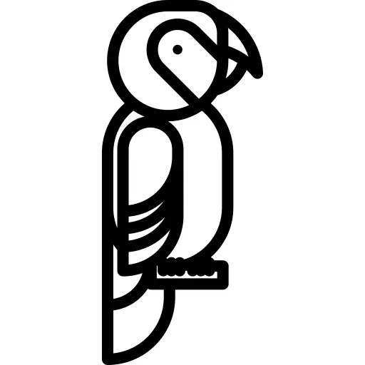 Macaw