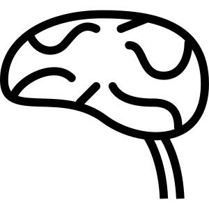 Brain
