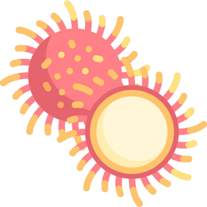 Rambutan