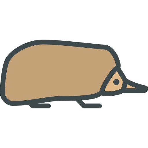 Echidna
