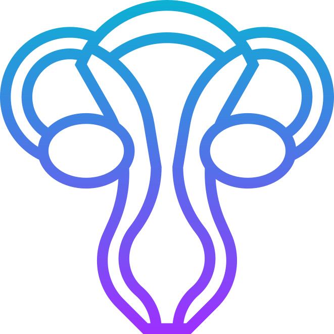 Uterus