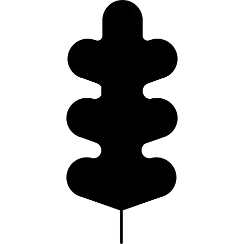 植物叶片有不规则的曲线