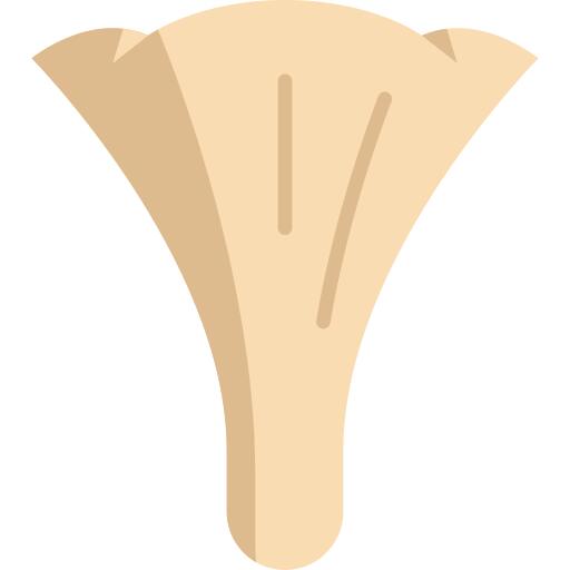 蘑菇