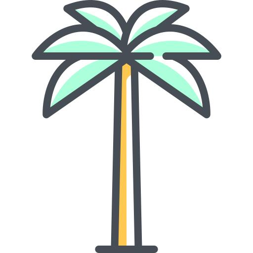 棕榈树