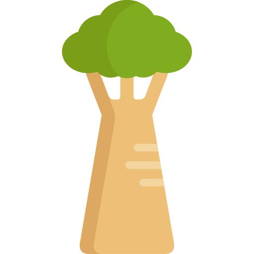 Baobab