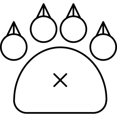 Feline paw