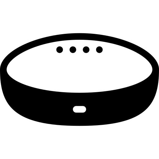 Google home
