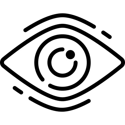 Vision