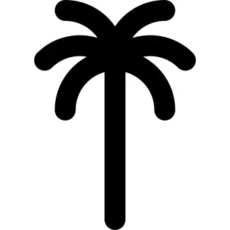 棕榈树