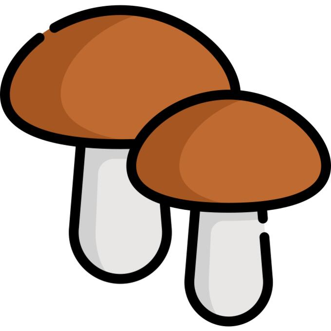 蘑菇
