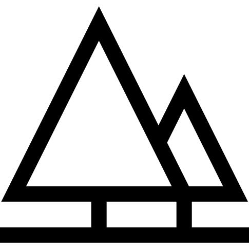 松树