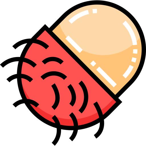 Rambutan
