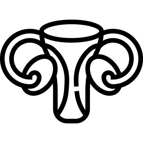 Uterus