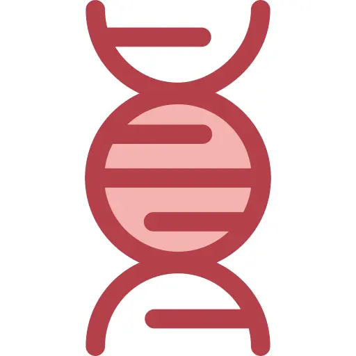 Dna
