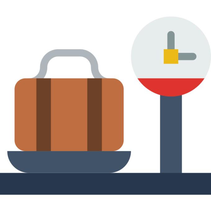 Luggage