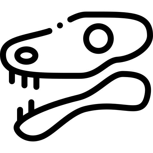 Dinosaur